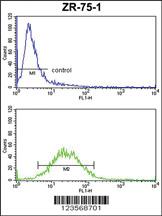 Anti-CSF3R Rabbit Polyclonal Antibody