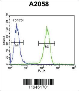 Anti-ANXA5 Rabbit Polyclonal Antibody