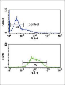 Anti-LCAT Rabbit Polyclonal Antibody (Biotin)