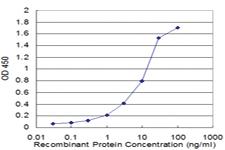 Anti-HLA-DMB Mouse Monoclonal Antibody [clone: 6D5]