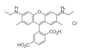 6-cr6 g 332 10 mg