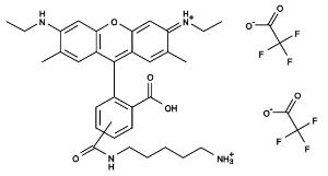 5(6)-carboxyrhodamin 343 1 mg