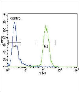 Anti-CD4 Rabbit Polyclonal Antibody (PE (Phycoerythrin))