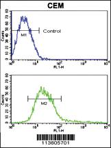 Anti-ADAM17 Rabbit Polyclonal Antibody