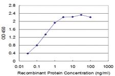 Anti-SLC11A1 Mouse Monoclonal Antibody [clone: 2G2]