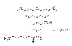 5-tamra cadaverine 356 5 mg