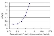 Anti-FABP1 Antibody Pair