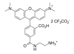 5-tamra ethylenediam 358 5 mg