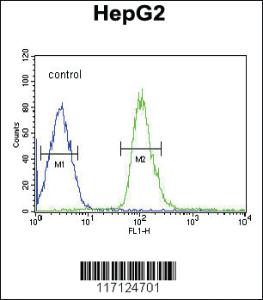 Anti-DUSP2 Rabbit Polyclonal Antibody