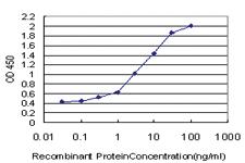 Anti-RPS2 Mouse Monoclonal Antibody [clone: 3G6]