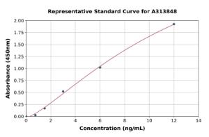 Representative standard curve for mouse ADAMTS1 ELISA kit (A313848)