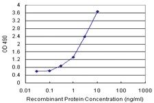 Anti-CALML3 Polyclonal Antibody Pair