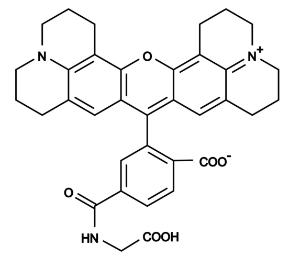 6-rox  glycine 395 5 ml