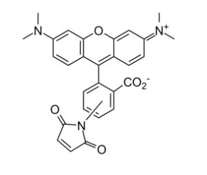 5(6)-tamra maleimide 412 5 mg