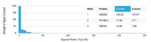 Analysis of protein array containing more than 19,000 full-length human proteins using Anti-UBE2B Antibody [PCRP-UBE2B-1C7