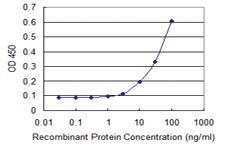 Anti-LIPG Mouse Monoclonal Antibody [clone: 4A9]