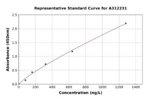 Representative standard curve for Human ING1 ELISA kit (A312231)