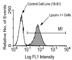 Anti-ITGA4 Rat Monoclonal Antibody [clone: DATK32]