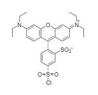 Lissamine rhodamine 470 100 mg