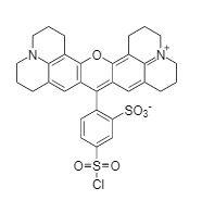 Sulforhodamine 101 s 480 10 mg