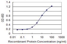 Anti-ASH2L Mouse Monoclonal Antibody [clone: 4G7]