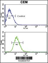 Anti-TLR2 Rabbit Polyclonal Antibody