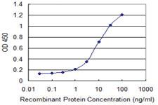 Anti-SLC20A2 Mouse Monoclonal Antibody [clone: 4B1]