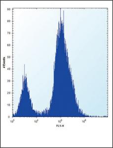 Anti-ALPL Rabbit Polyclonal Antibody