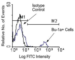 Anti-Bu-1a Mouse Monoclonal Antibody [clone: 21-1A4]