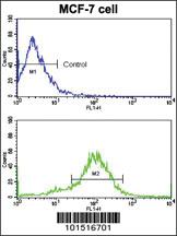 Anti-RET Rabbit Polyclonal Antibody