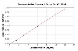 Representative standard curve for mouse Wnt5b ELISA kit (A313854)