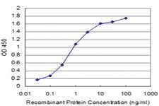 Anti-CLDN2 Mouse Monoclonal Antibody [clone: 3F1]