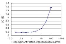 Anti-IL1A Antibody Pair