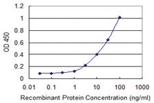 Anti-SLPI Mouse Monoclonal Antibody [clone: 3C6]