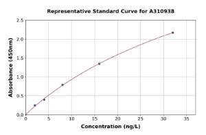 Representative standard curve for Human IL-26 ELISA kit (A310938)