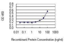 Anti-VNN3 Mouse Monoclonal Antibody [clone: 3E1]