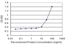 Anti-C17ORF75 Polyclonal Antibody Pair