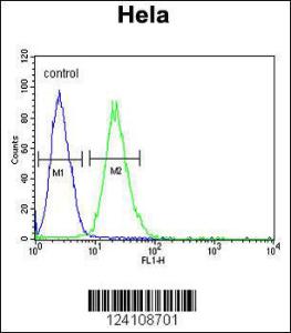 Anti-RPL31 Rabbit Polyclonal Antibody (PE (Phycoerythrin))