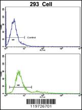 Anti-BAALC Rabbit Polyclonal Antibody