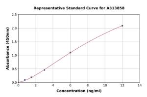 Representative standard curve for mouse CD68 ELISA kit (A313858)