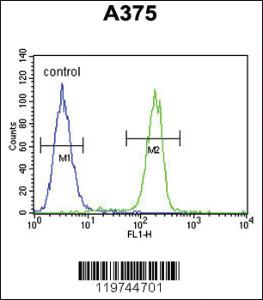 Anti-C1QTNF1 Rabbit Polyclonal Antibody