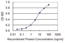 Anti-SNAI2 Mouse Monoclonal Antibody [clone: 2F11]