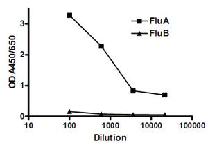 Anti-NP Mouse Monoclonal Antibody [clone: FLUA-NP 4F1]