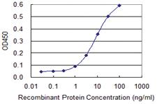 Anti-SNAI2 Mouse Monoclonal Antibody [clone: 4D11]