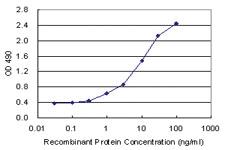 Anti-IL1B Rabbit Polyclonal Antibody (Biotin)