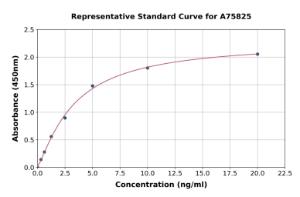 Representative standard curve for Human SEMA5A ELISA kit (A75825)