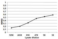 Anti-IL1B Antibody Pair