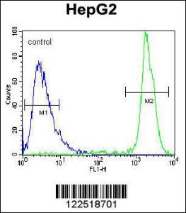 Anti-GPAM Rabbit Polyclonal Antibody (AP (Alkaline Phosphatase))