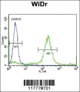 Anti-ADAMDEC1 Rabbit Polyclonal Antibody