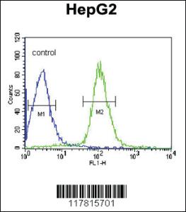 Anti-CCDC85B Rabbit Polyclonal Antibody